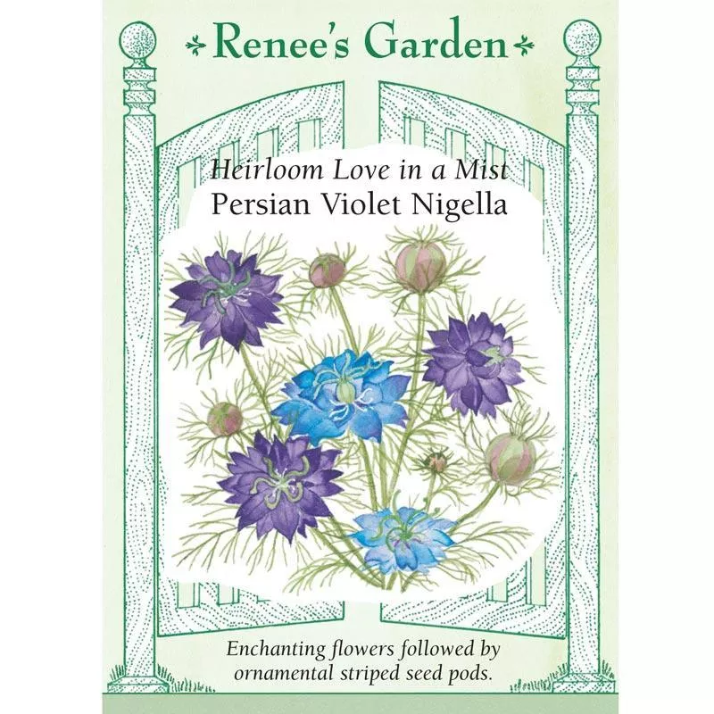 persian-violet-love-in-mist-nigella-flower-seeds Persian Violet Love In A Mist Nigella Flower Seeds