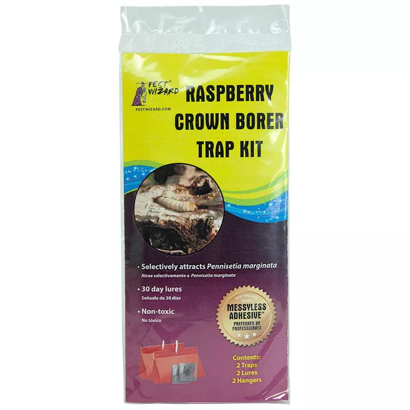 pest-wizard-raspberry-crown-borer-trap-kit Pest Wizard Raspberry Crown Borer Trap Kit