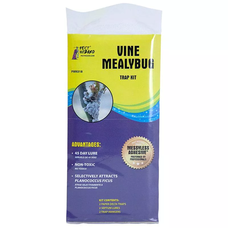 pest-wizard-vine-mealybug-trap-kit Pest Wizard Vine Mealybug Trap Kit