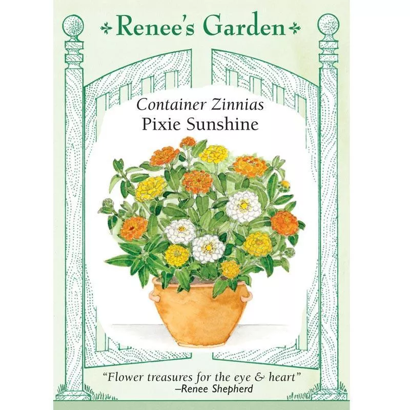 pixie-sunshine-container-zinnia-seeds ‘Pixie Sunshine’ Container Zinnia Seeds