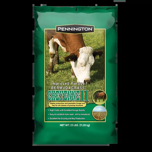 (Poor Harvest 2026) Cheyenne II Bermuda Grass Seed