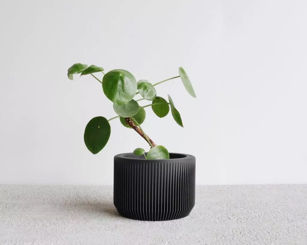 praha-planter-in-black-by-minimum-design Praha Planter In BLACK By MINIMUM DESIGN
