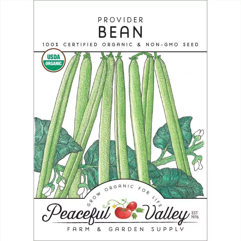 provider-bush-bean-seeds-organic Provider Bush Bean Seeds (Organic)