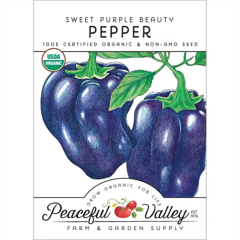 purple-beauty-sweet-pepper-seeds-organic Purple Beauty Sweet Pepper Seeds (Organic)