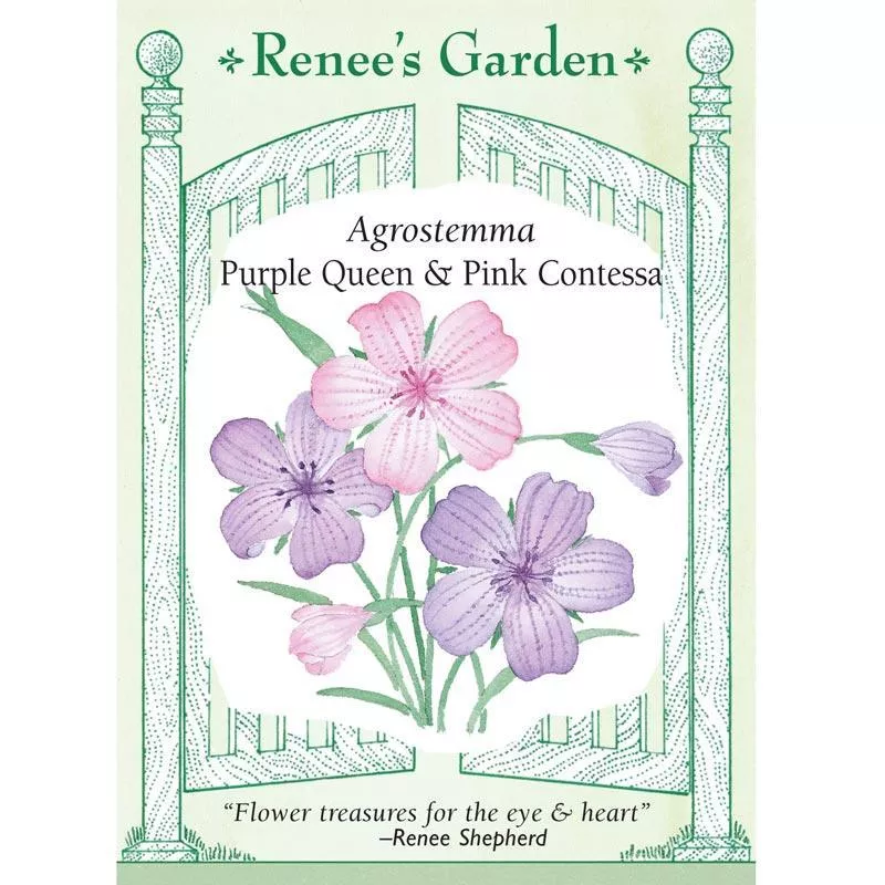 purple-queen-pink-contessa-agrostemma-flower-seeds Purple Queen and Pink Contessa Agrostemma Flower Seeds