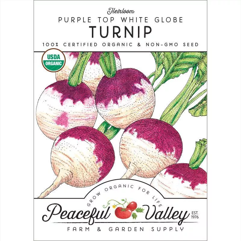 purple-top-white-globe-turnip-seeds-organic Purple Top White Globe Turnip Seeds (Organic)