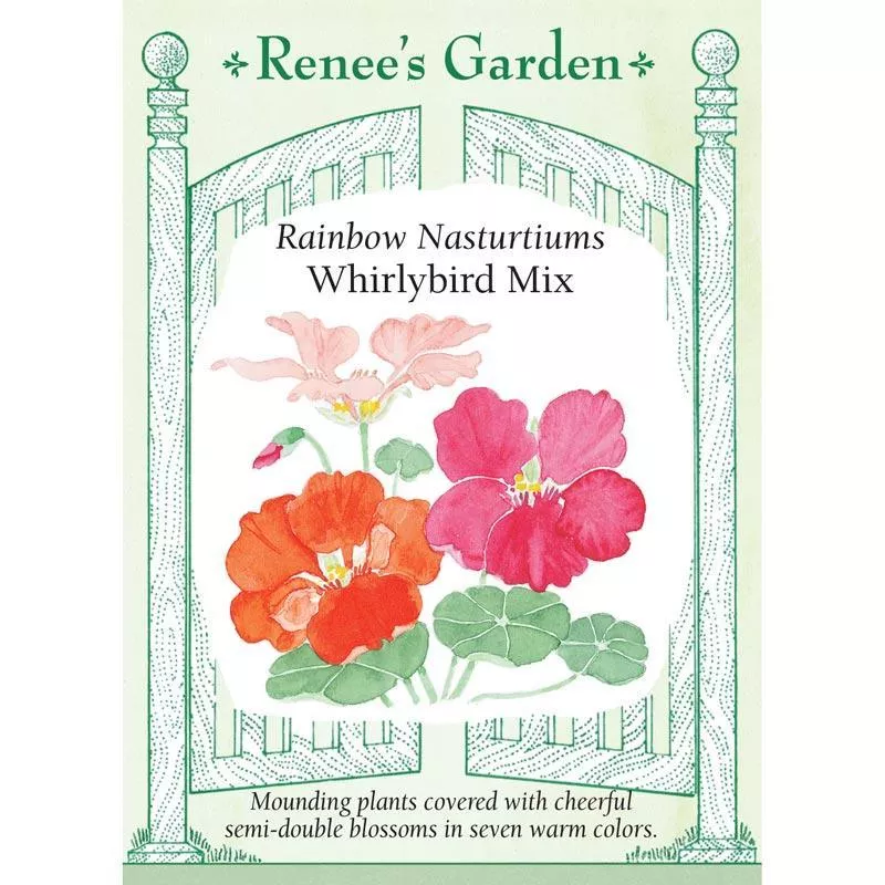 rainbow-nasturtium-whirlybird-mix-seeds Rainbow Nasturtium Whirlybird Mix Seeds