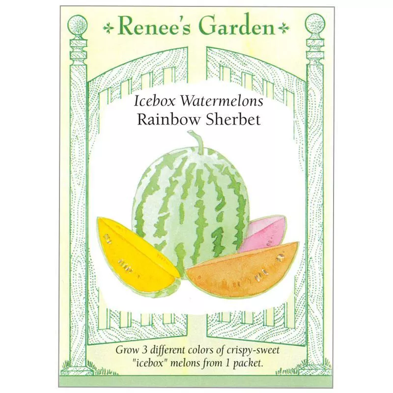 rainbow-sherbet-icebox-watermelon-seeds ‘Rainbow Sherbet’ Icebox Watermelon Seeds