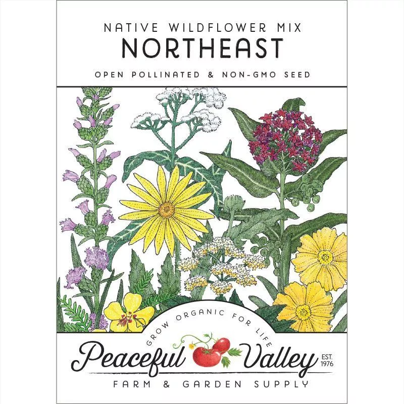 regional-northeast-native-wildflower-mix-pack Regional Northeast Native Wildflower Mix (pack)