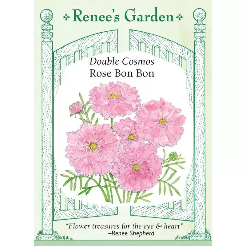 rose-bon-bon-double-butterfly-cosmos-seeds ‘Rose Bon Bon’ Double Butterfly Cosmos Seeds