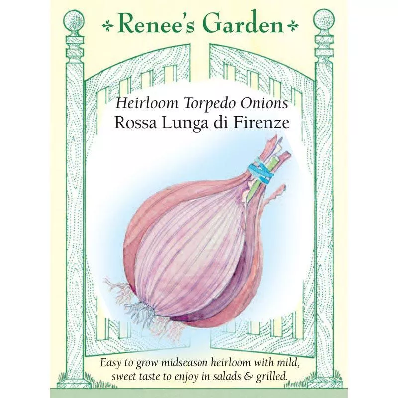 rossa-lunga-di-firenze-heirloom-torpedo-onion-seeds ‘Rossa Lunga di Firenze’ Heirloom Torpedo Onion Seeds