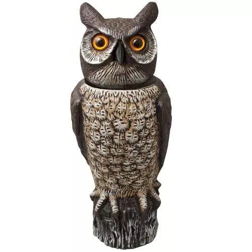 rotating-head-owl Rotating Head Owl