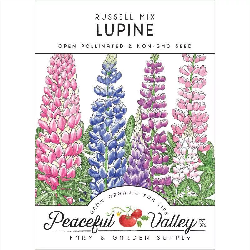 russell-lupine-seed-pack Russell Lupine Seed Pack