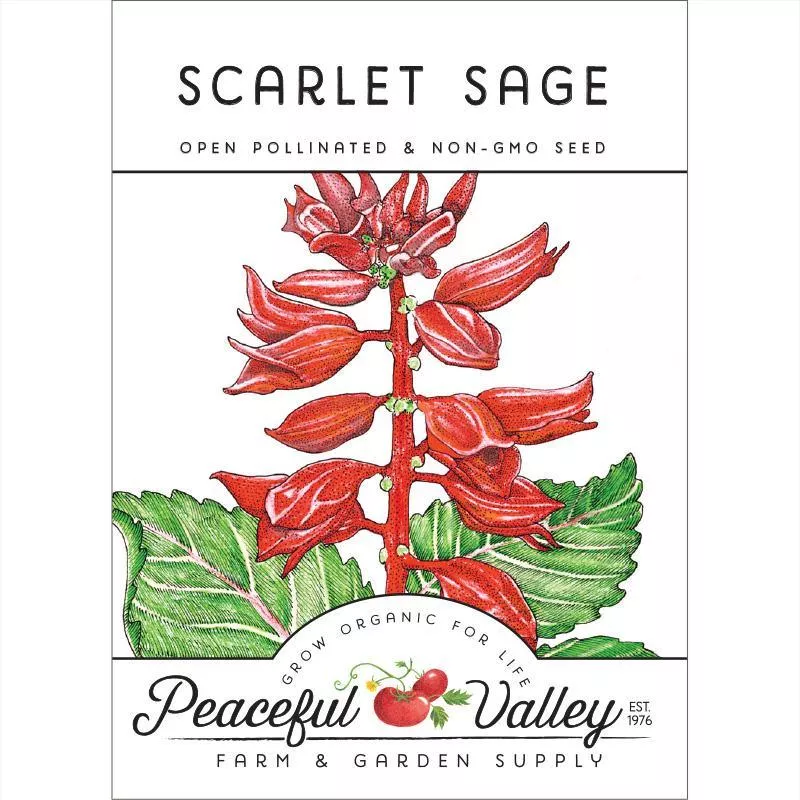 sage-scarlet-pack Sage, Scarlet (pack)