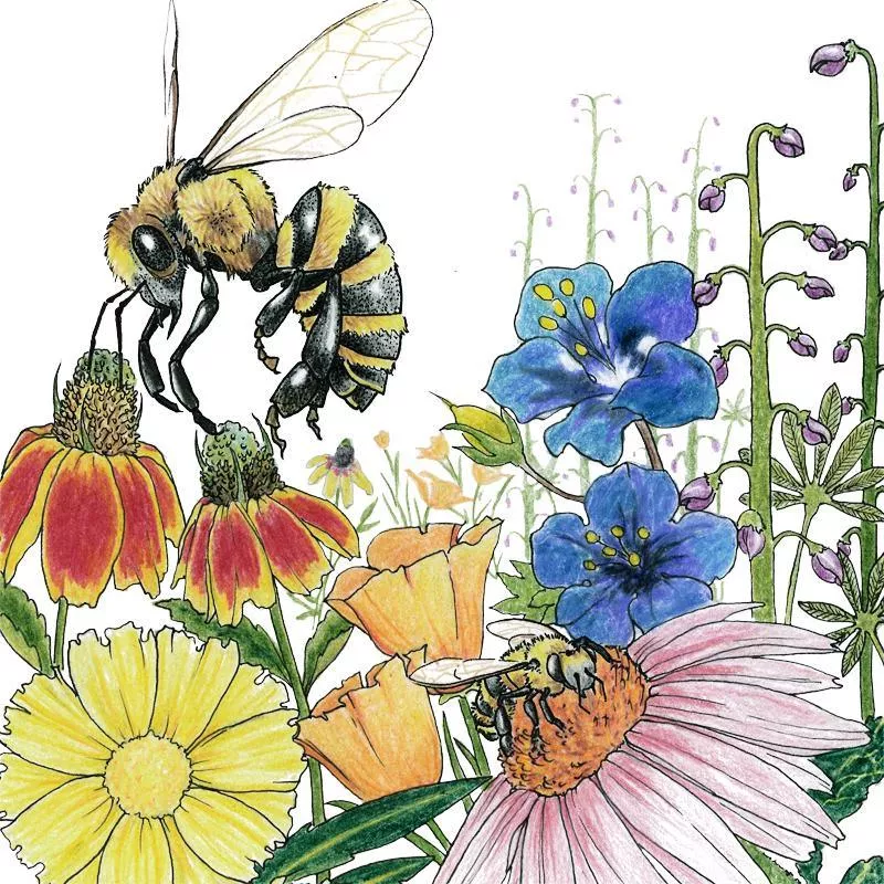 save-bees-wildflower-mix-1-4-lb Save the Bees Wildflower Mix (1/4 lb)