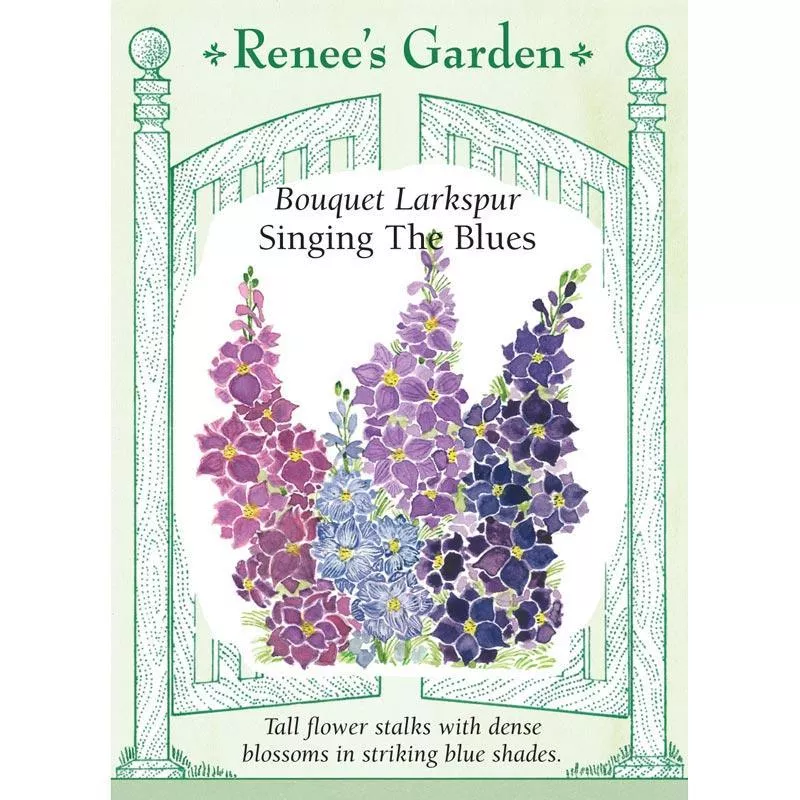 singing-blues-bouquet-larkspur-flower-seeds Singing the Blues Bouquet Larkspur Flower Seeds