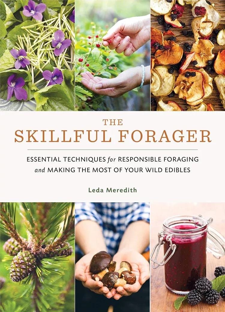 skillful-forager The Skillful Forager