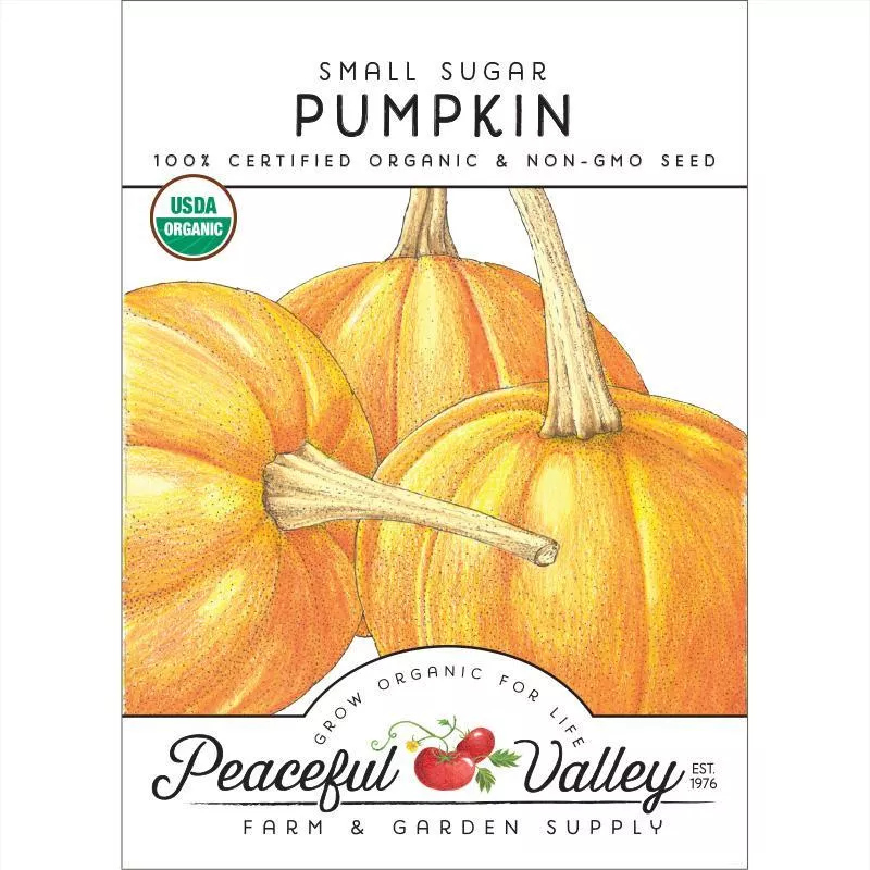 small-sugar-pumpkin-seeds-organic Small Sugar Pumpkin Seeds (Organic)