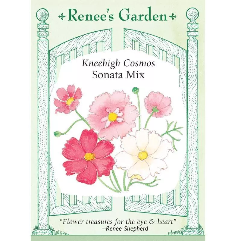 sonata-mix-kneehigh-cosmos-seeds ‘Sonata Mix’ Kneehigh Cosmos Seeds