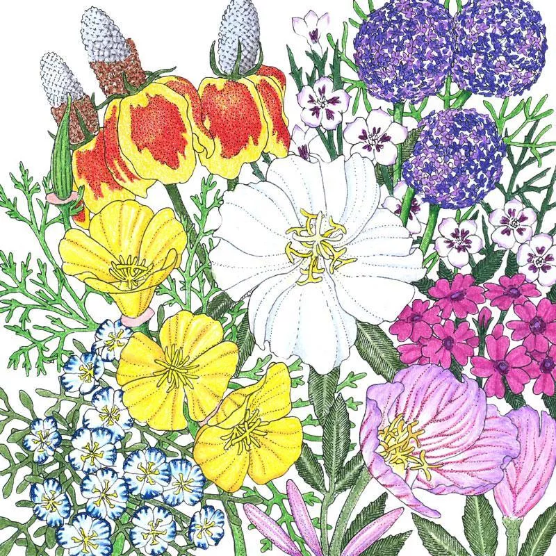 southwest-wildflower-mix-1-4-lb Southwest Wildflower Mix (1/4 lb)