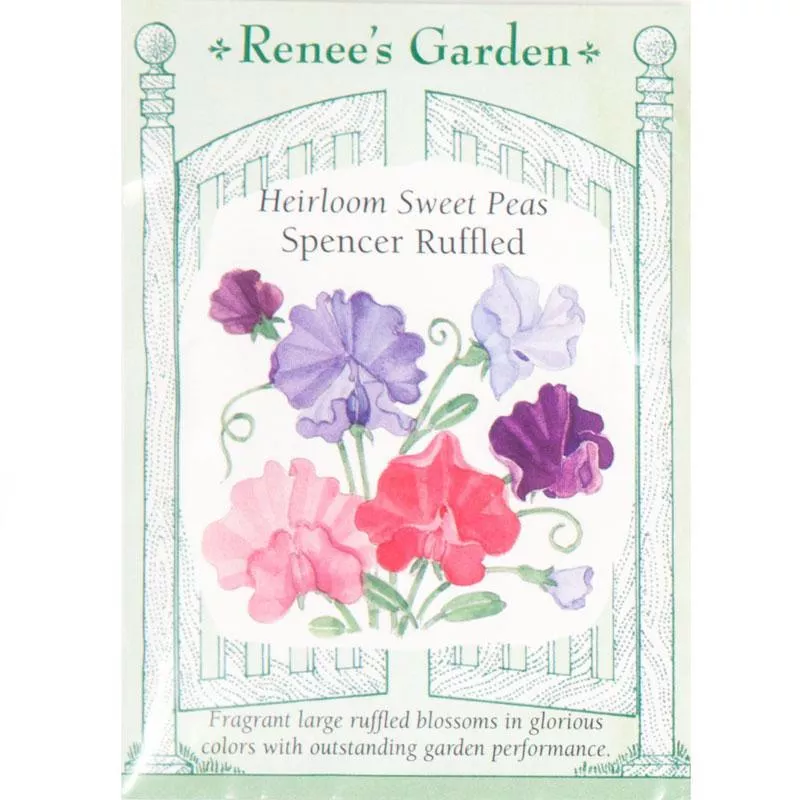 spencer-ruffled-heirloom-sweet-pea-seeds ‘Spencer Ruffled’ Heirloom Sweet Pea Seeds
