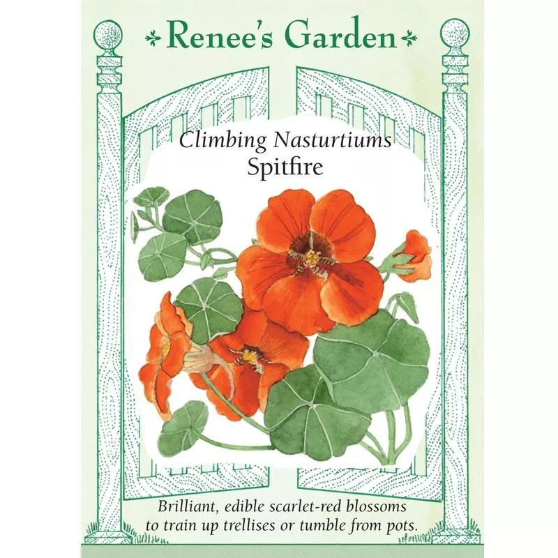 spitfire-climbing-nasturtium-flower-seeds Spitfire Climbing Nasturtium Flower Seeds