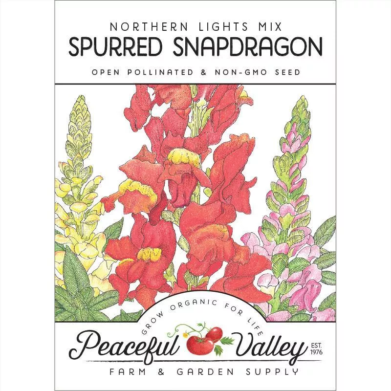 spurred-snapdragon-seed-pack Spurred Snapdragon Seed Pack