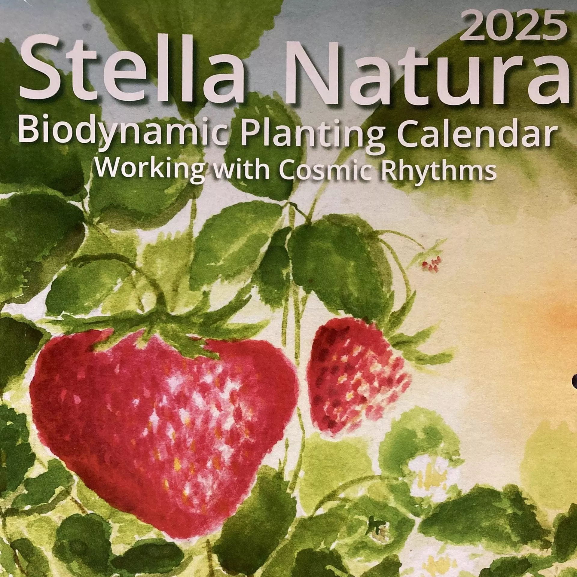 stella-natura-2026-biodynamic-planting-calendar Stella Natura 2026 Biodynamic Planting Calendar