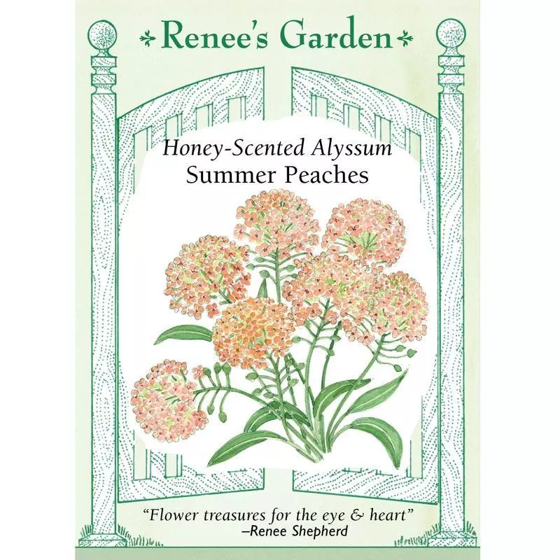 summer-peaches-honey-scented-alyssum-seeds ‘Summer Peaches’ Honey-Scented Alyssum Seeds
