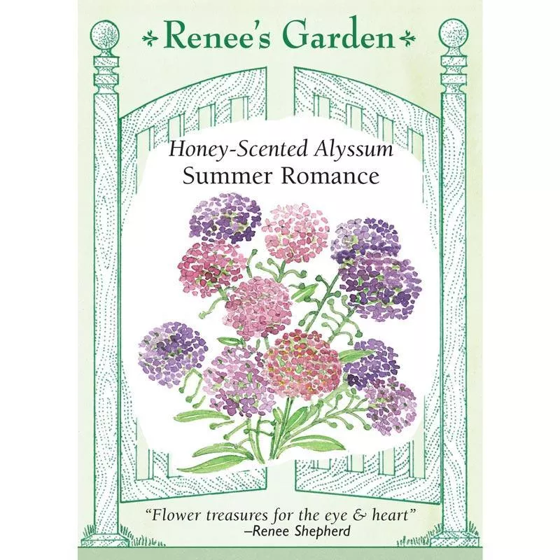 summer-romance-honey-scented-alyssum-seeds ‘Summer Romance’ Honey-Scented Alyssum Seeds