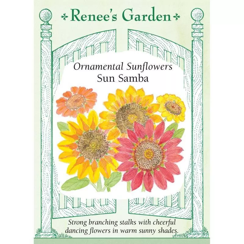 sun-samba-ornamental-sunflower-flower-seeds Sun Samba Ornamental Sunflower Flower Seeds