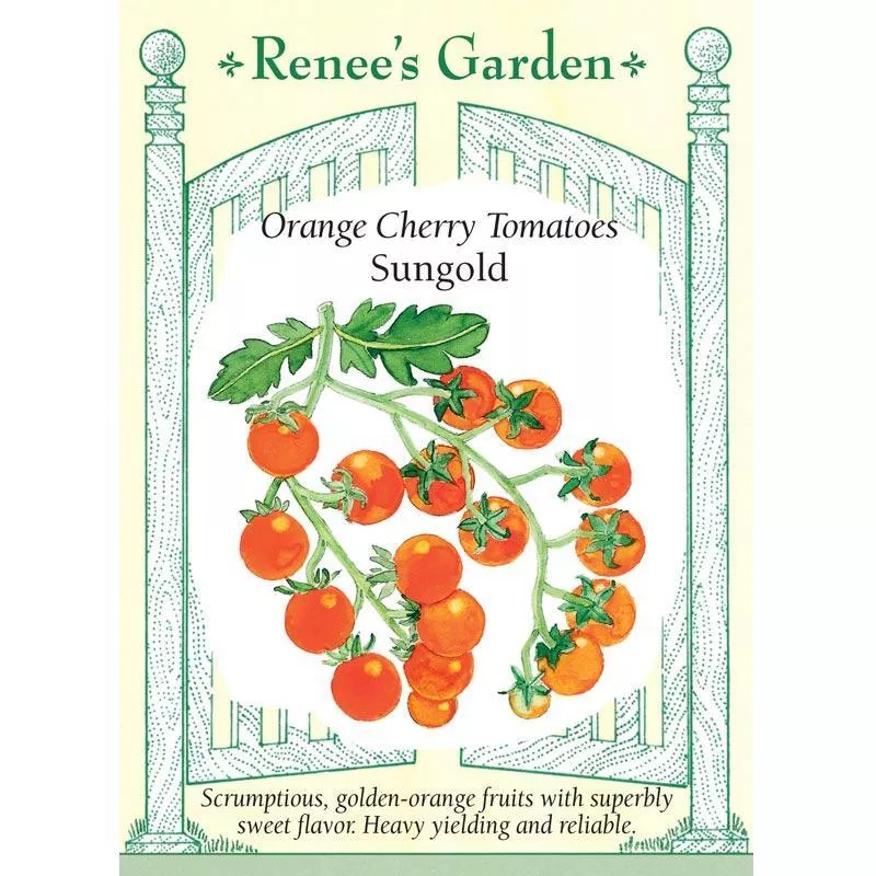 sungold-orange-cherry-tomato-seeds Sungold Orange Cherry Tomato Seeds