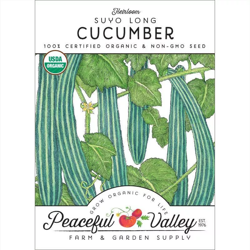 suyo-long-cucumber-seeds-organic Suyo Long Cucumber Seeds (Organic)