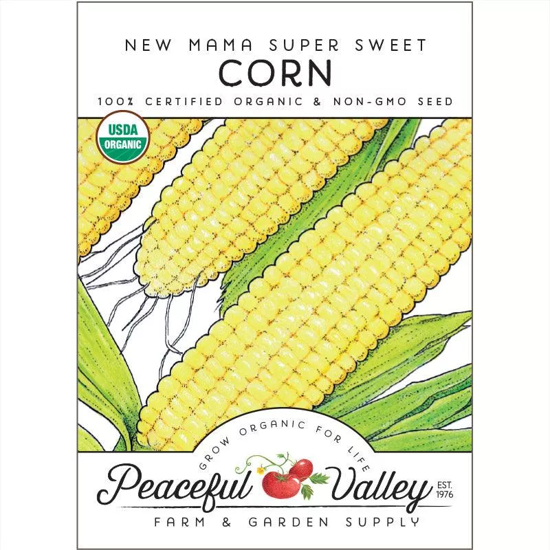 sweet-new-mama-corn-seeds-organic Sweet New Mama Corn Seeds (Organic)