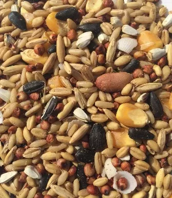 T&R LARGE PARROT MIX 25KG