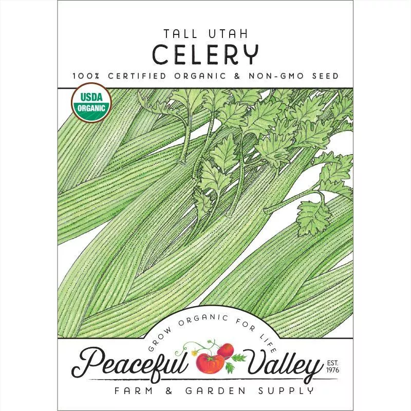 tall-utah-celery-seeds-organic Tall Utah Celery Seeds (Organic)
