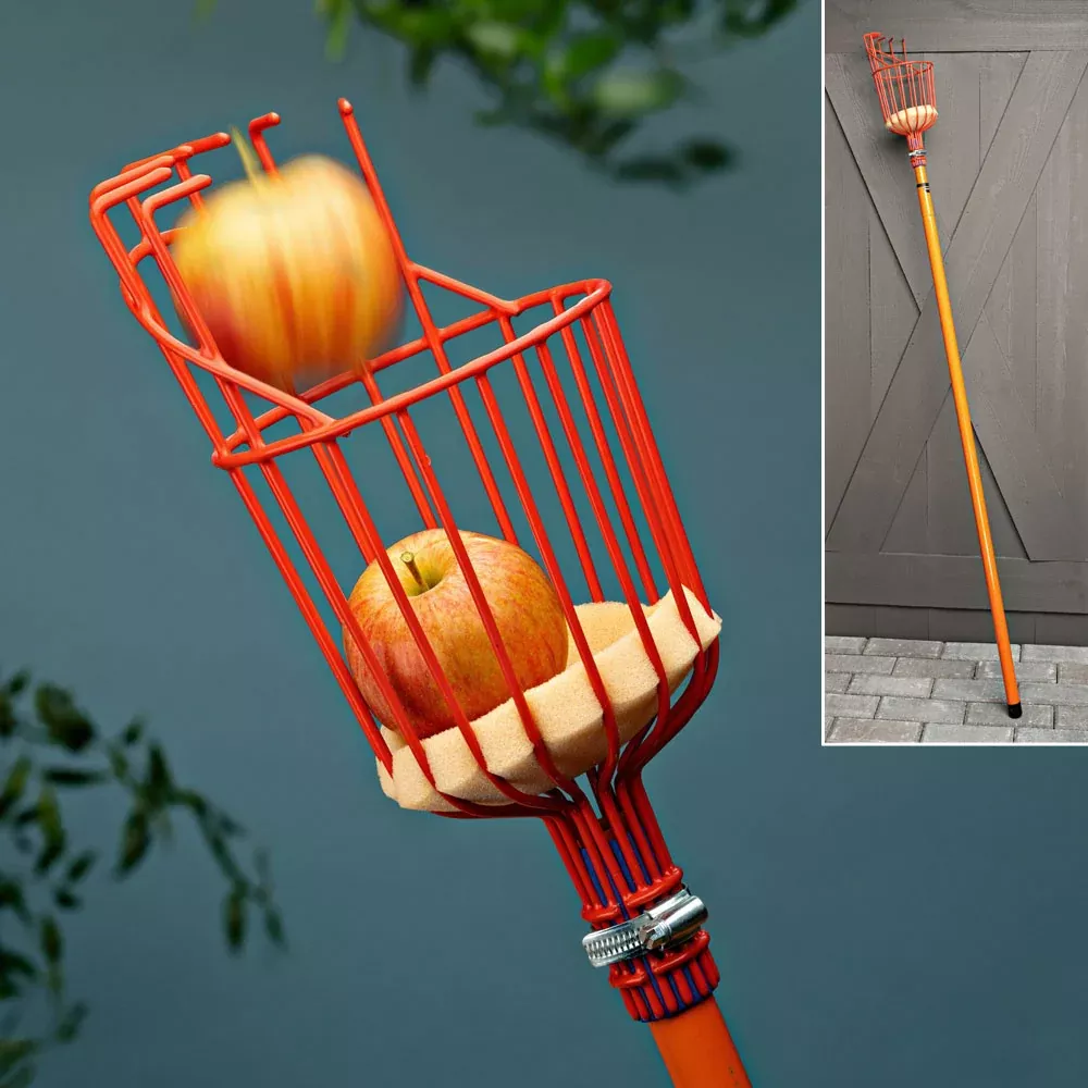 tasty-reach-telescoping-fruit-picker "Tasty Reach" Telescoping Fruit Picker