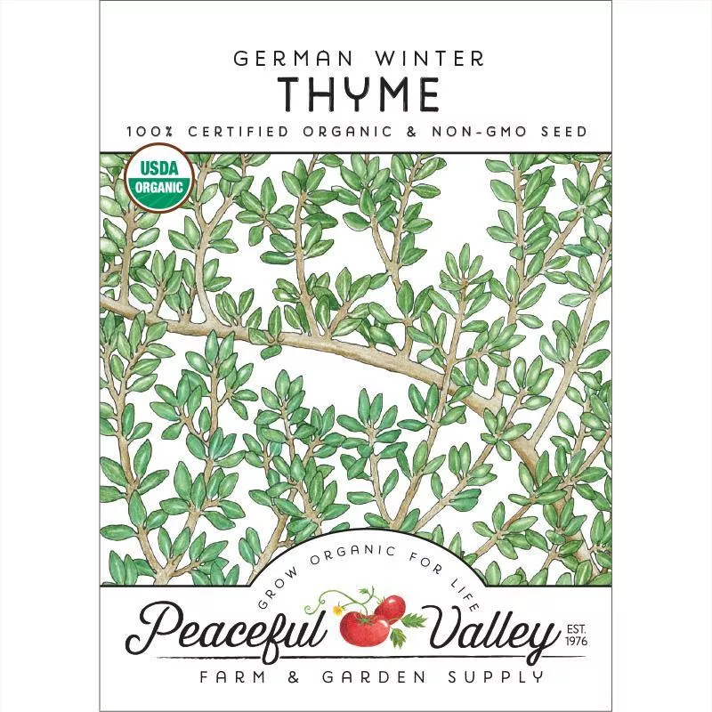 thyme-german-winter-organic Thyme, German Winter (Organic)