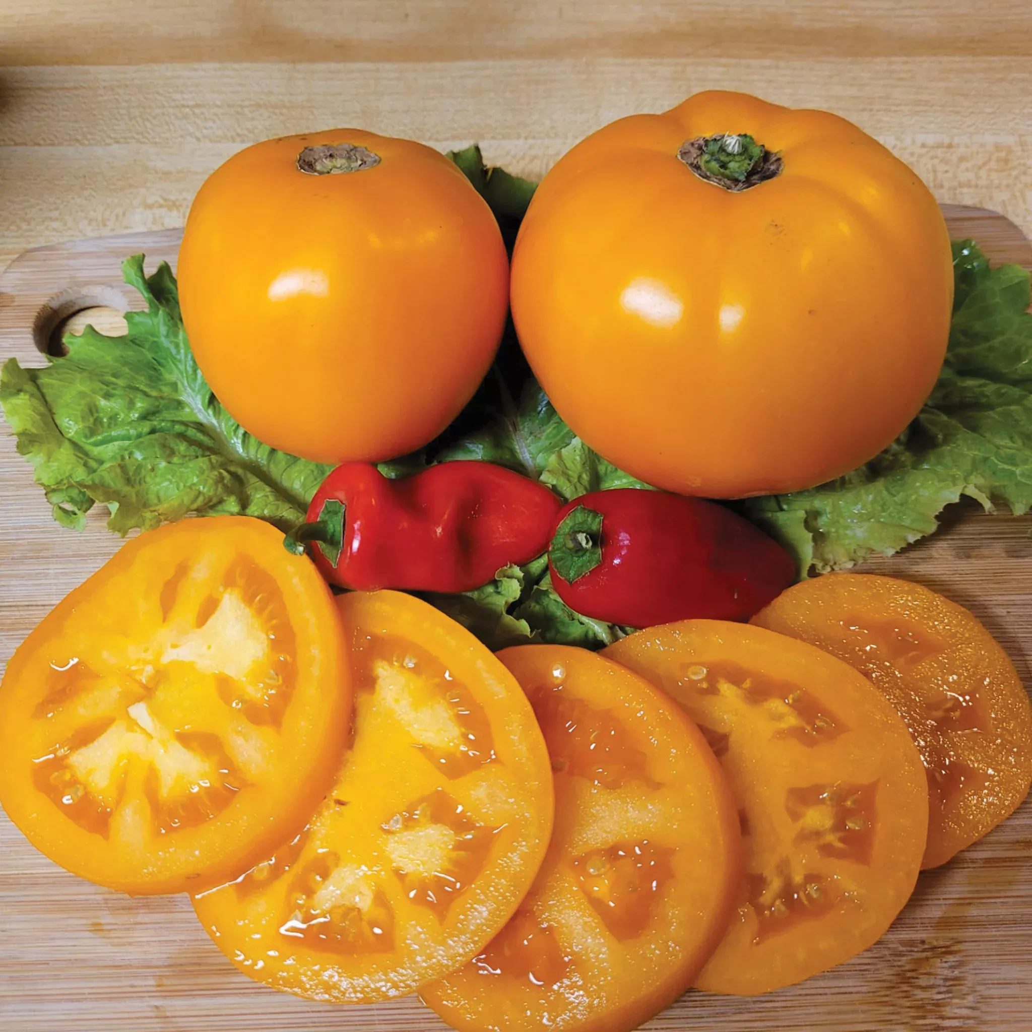 tomato-amish-gold-slicer Tomato, Amish Gold Slicer