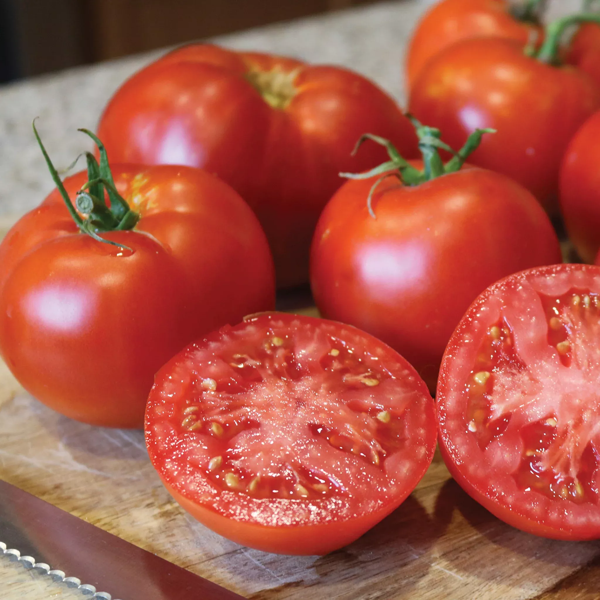 tomato-better-boy-plus-hybrid Tomato, Better Boy Plus Hybrid