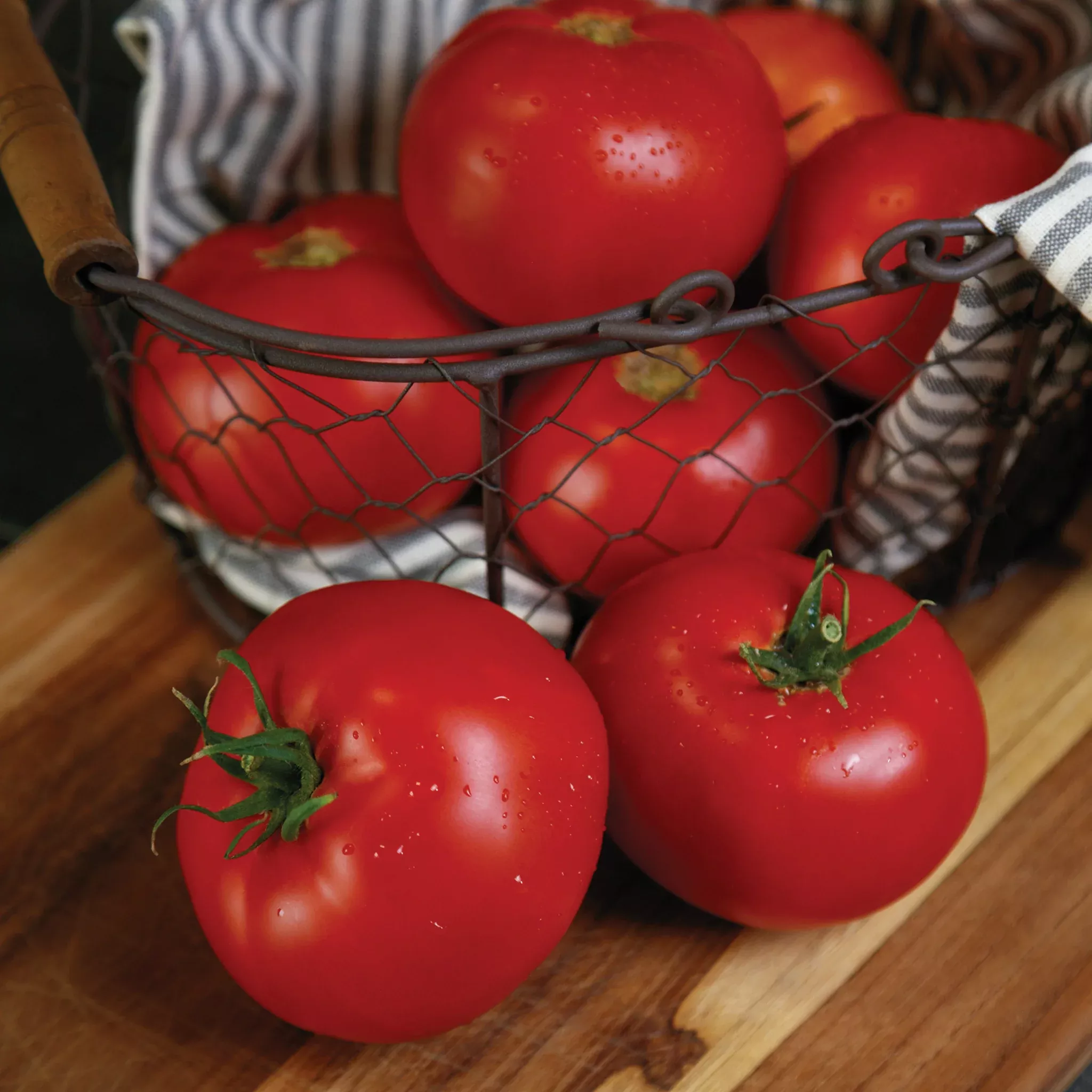 tomato-rubee-prize-hybrid Tomato, RuBee Prize Hybrid