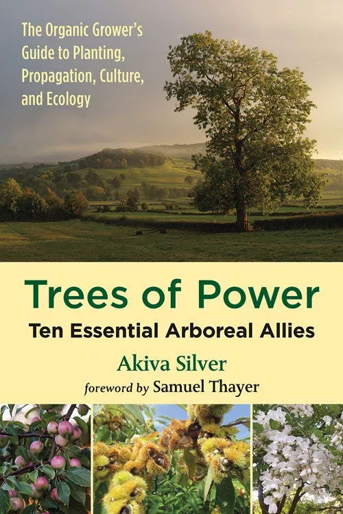 trees-power-ten-essential-arboreal-allies Trees Of Power: Ten Essential Arboreal Allies