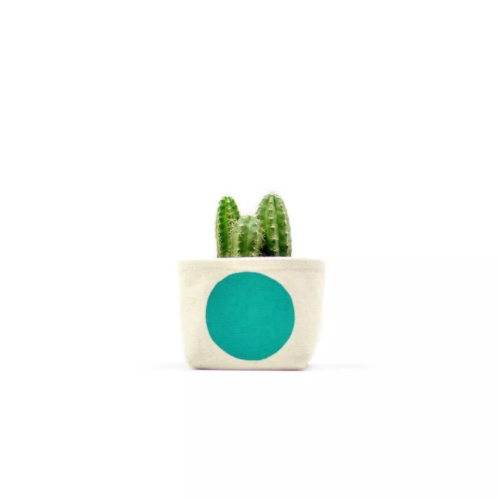 turquoise-dot-3-inch-canvas-planter-by-gray-green-goods Turquoise Dot 3 Inch Canvas Planter By GRAY GREEN GOODS