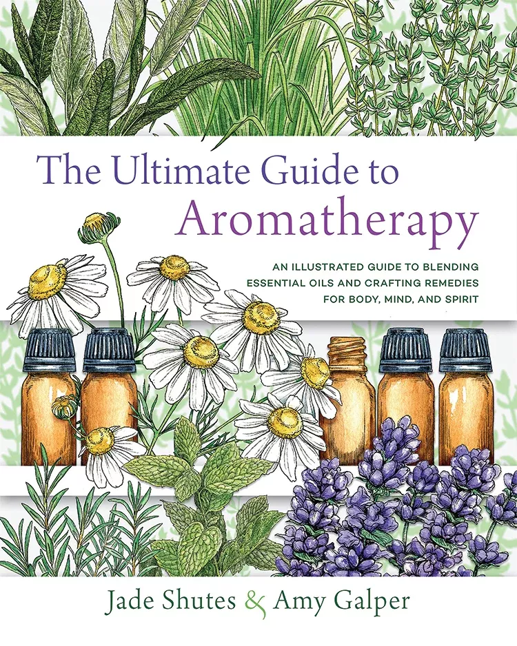 ultimate-guide-to-aromatherapy The Ultimate Guide To Aromatherapy