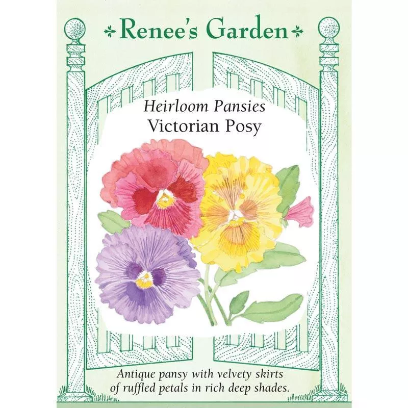 victorian-posy-heirloom-pansy-seeds ‘Victorian Posy’ Heirloom Pansy Seeds