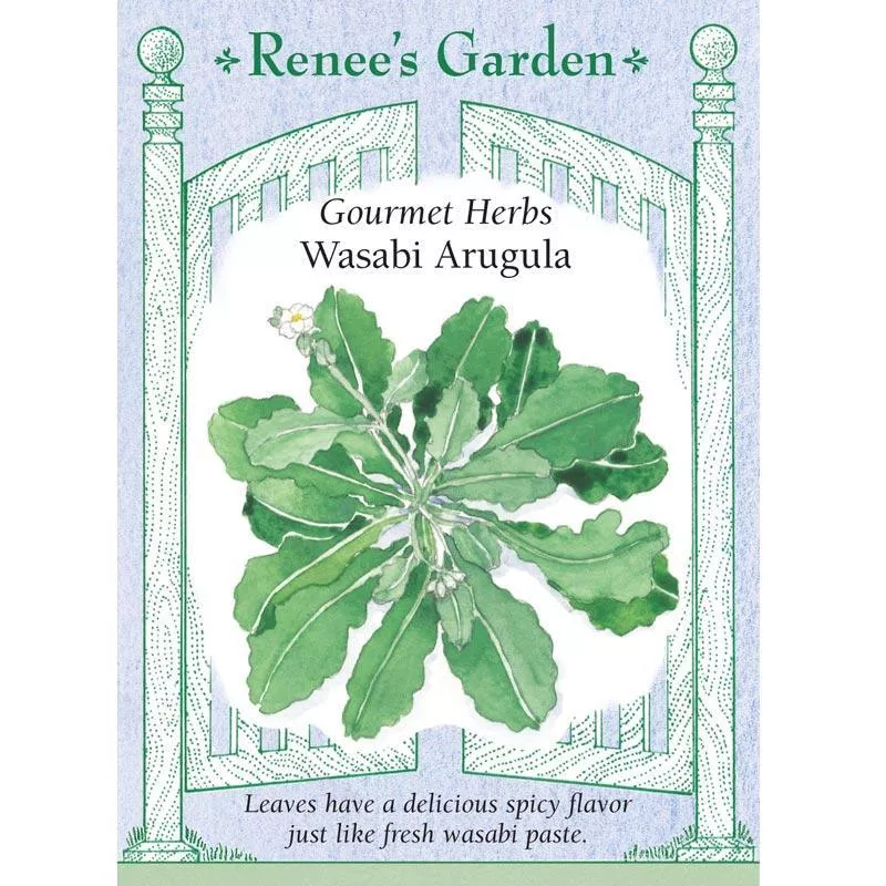 wasabi-arugula-gourmet-herb-seeds ‘Wasabi Arugula’ Gourmet Herb Seeds
