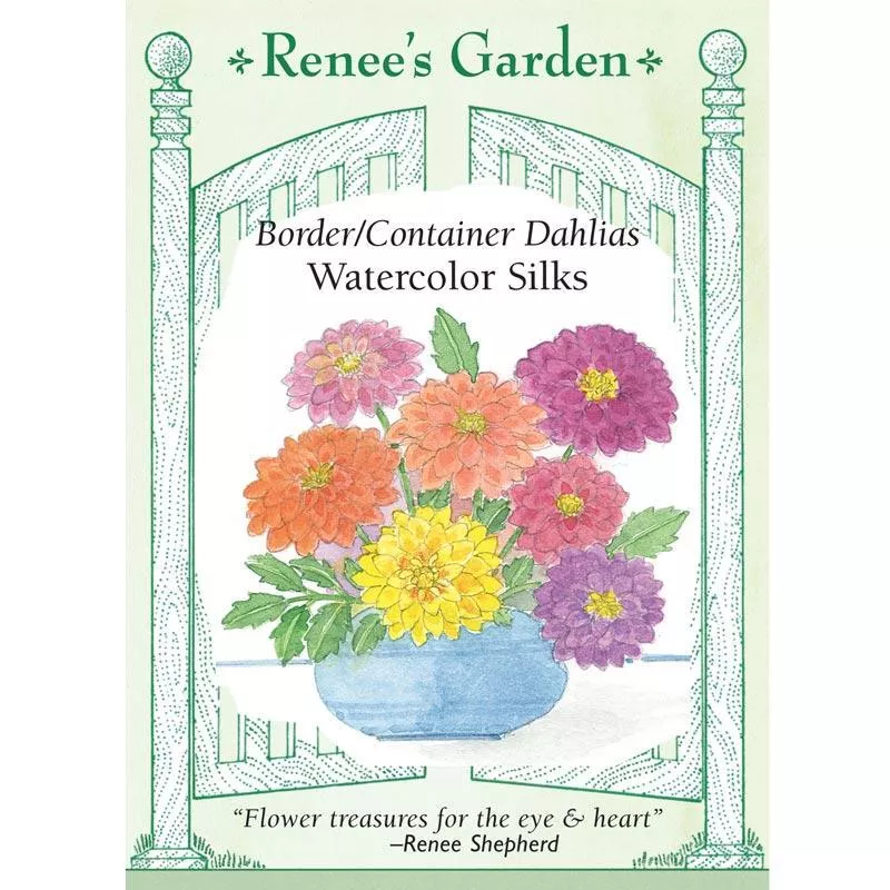 watercolor-silks-border-container-dahlia-seeds ‘Watercolor Silks’ Border/Container Dahlia Seeds