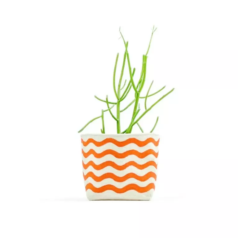 wavy-line-orange-4-inch-canvas-planter-by-gray-green-goods Wavy Line Orange 4 Inch Canvas Planter By GRAY GREEN GOODS
