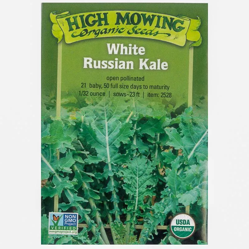 white-russian-kale-seeds-organic White Russian Kale Seeds (Organic)
