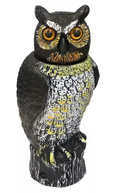 WHITES BOBBLE HEAD OWL